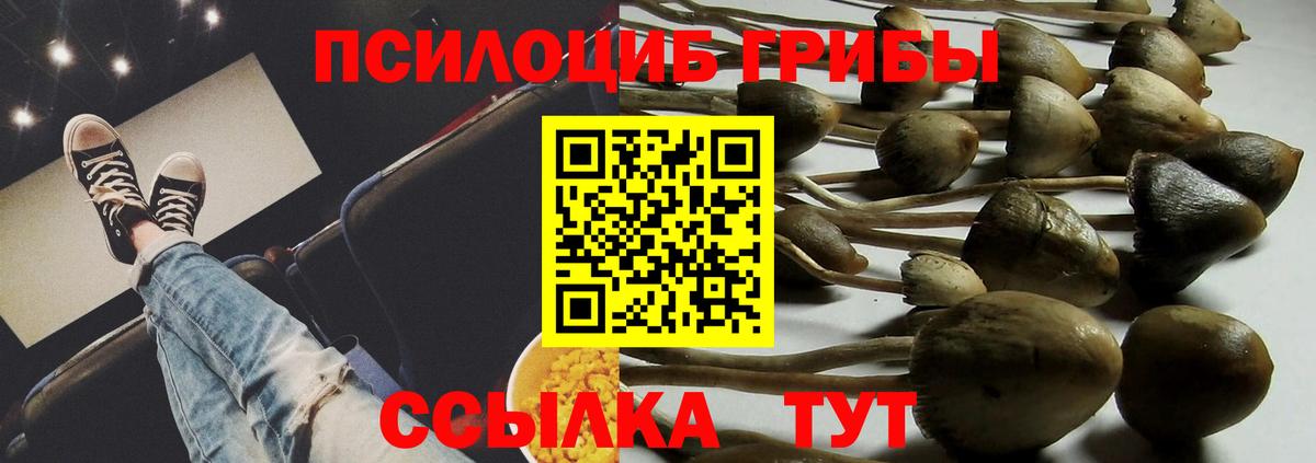 Галлюциногенные грибы ЛСД  что такое   Галлюциногенные грибы мицелий  Сертолово  Вход с VPN 